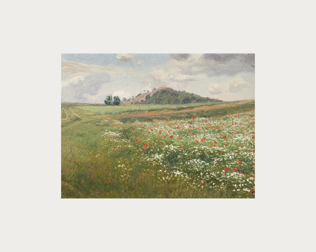 Poppy Fields