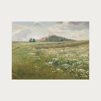 Poppy Fields