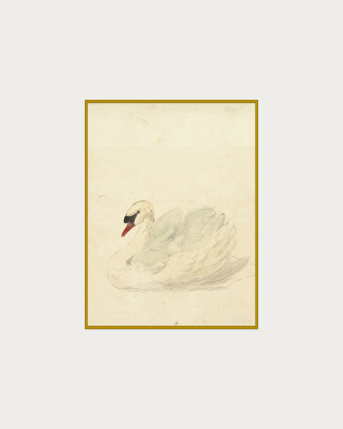 The Swan