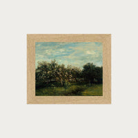 Apple Blossoms