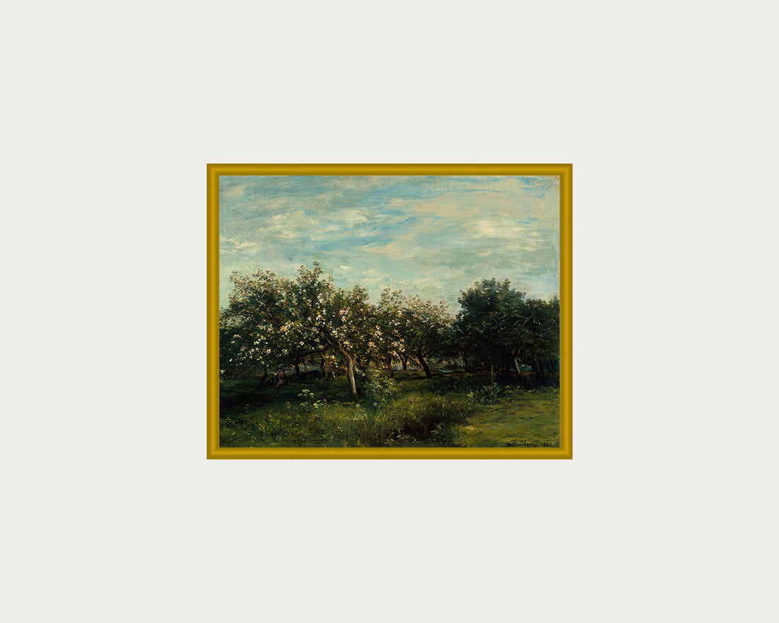 Apple Blossoms