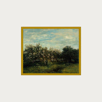 Apple Blossoms