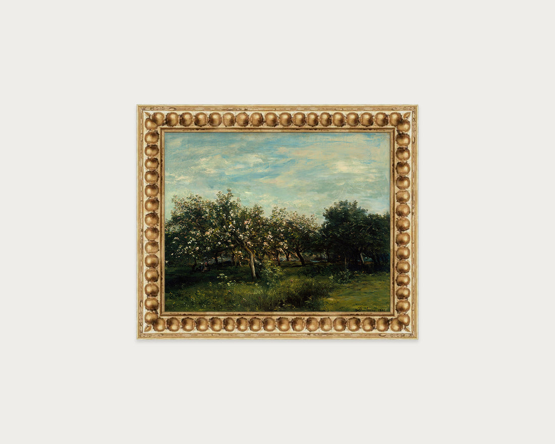 Apple Blossoms