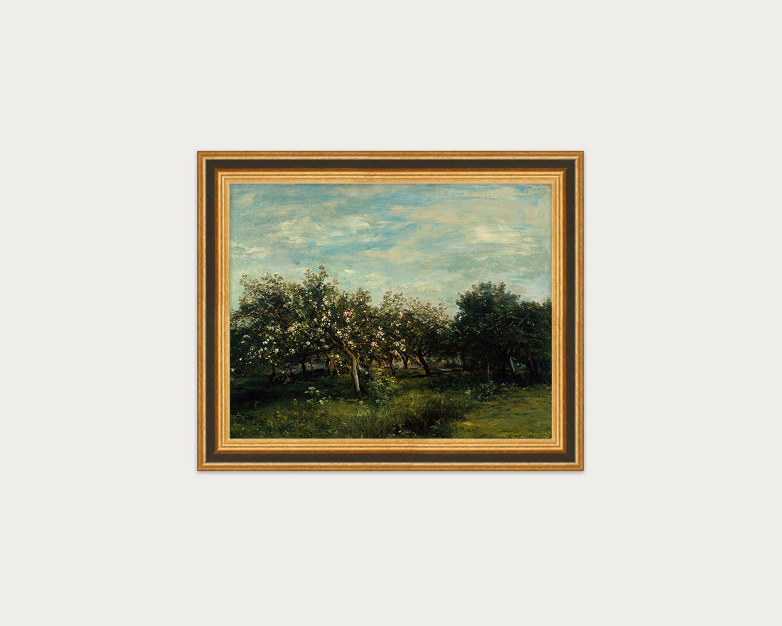 Apple Blossoms