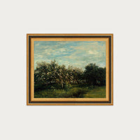 Apple Blossoms