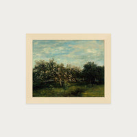 Apple Blossoms
