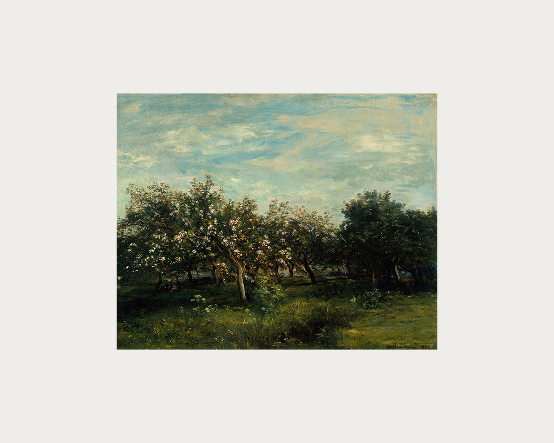 Apple Blossoms Digital Download