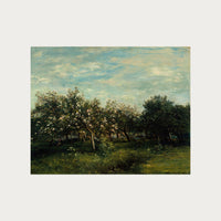 Apple Blossoms Digital Download