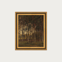 Dawn in the Woods