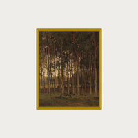 Dawn in the Woods