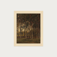 Dawn in the Woods