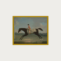 Derby Rider