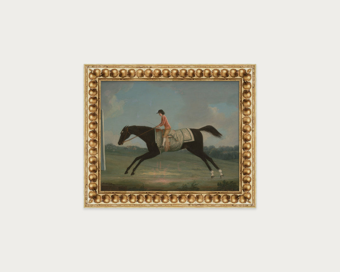 Derby Rider