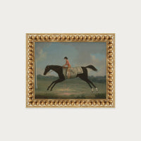 Derby Rider