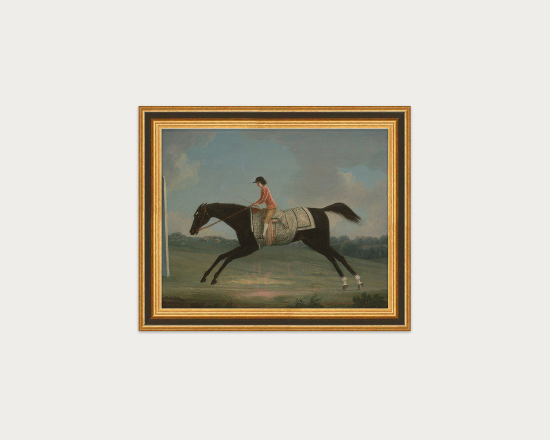 Derby Rider