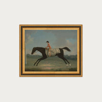 Derby Rider