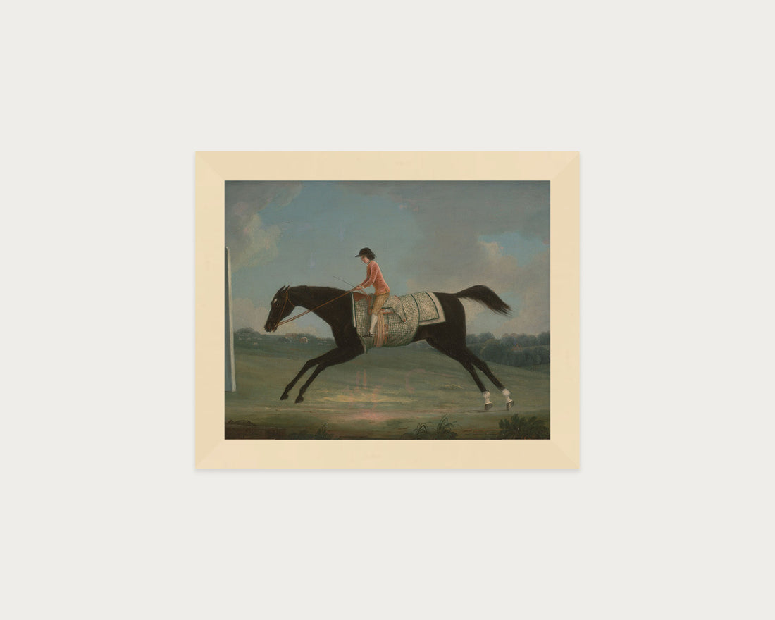 Derby Rider