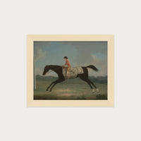 Derby Rider