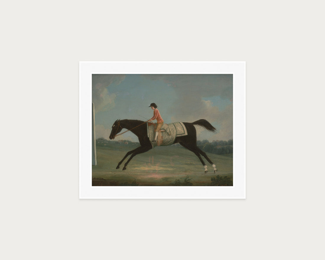 Derby Rider