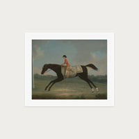 Derby Rider
