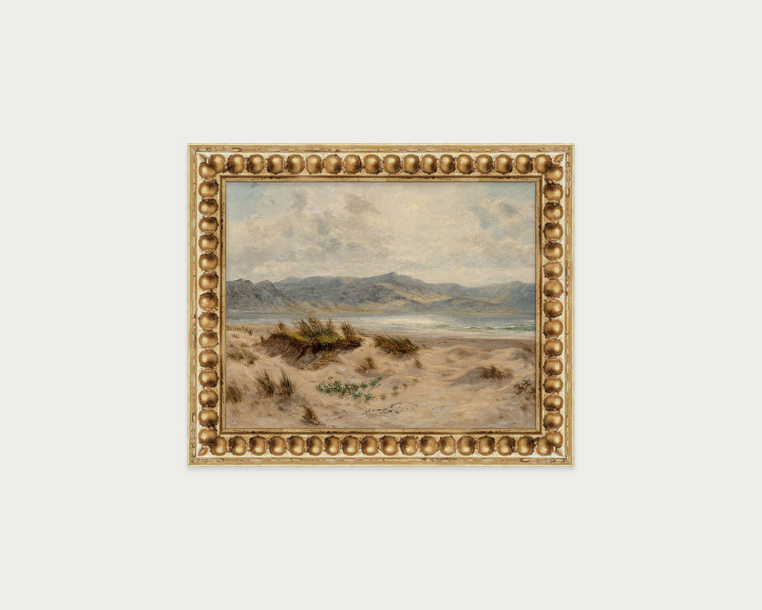 Dunes on the Welsh Coast