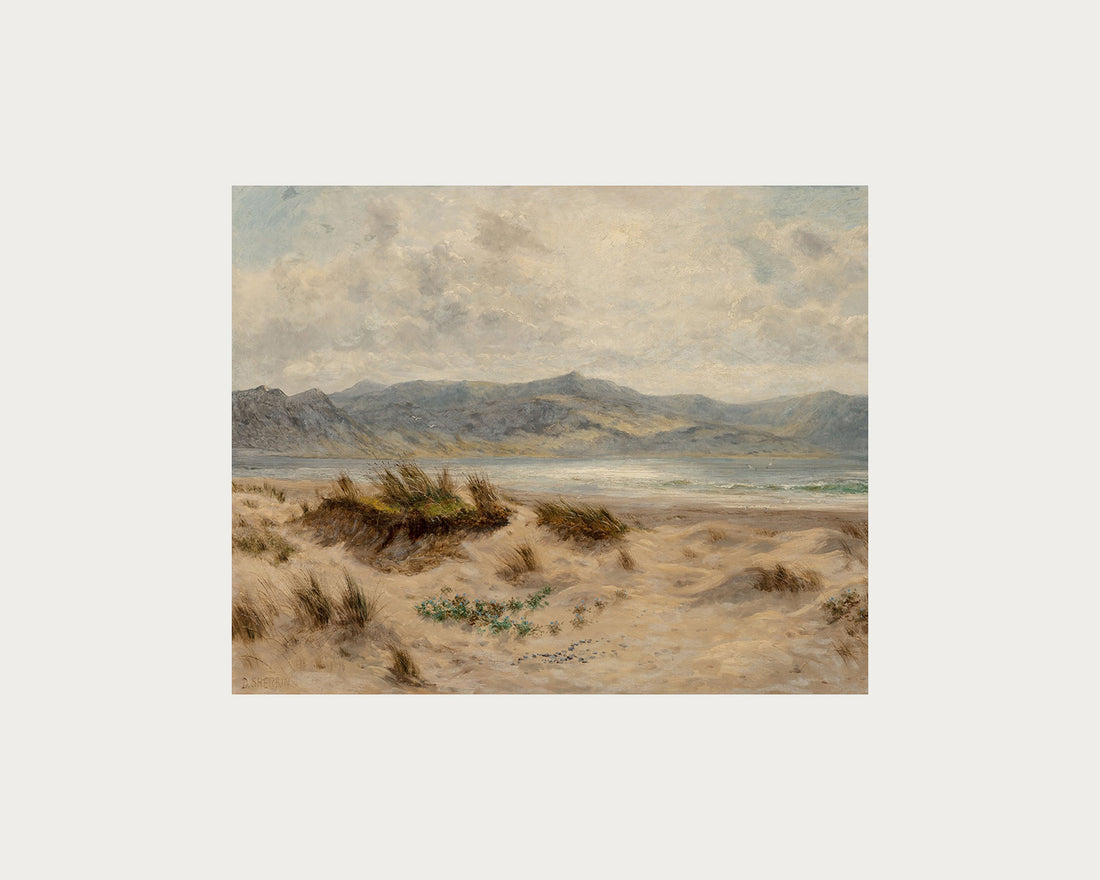 Dunes on the Welsh Coast