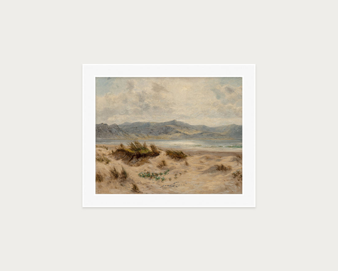Dunes on the Welsh Coast