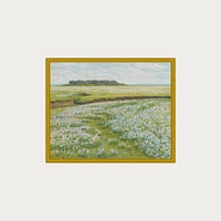 Fields in Bloom
