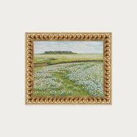 Fields in Bloom