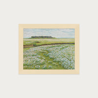 Fields in Bloom