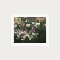 Garden in May