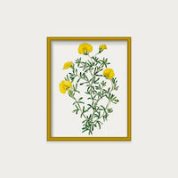 Golden Blooms