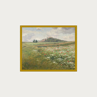 Poppy Fields