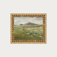 Poppy Fields