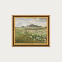 Poppy Fields