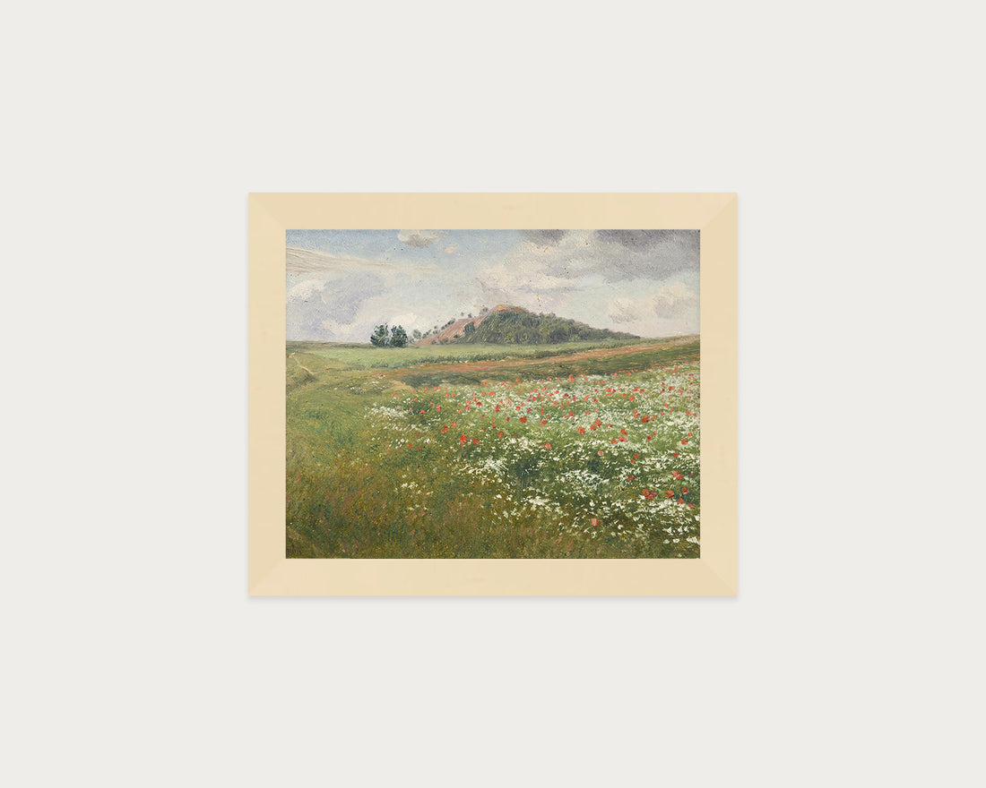 Poppy Fields