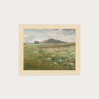 Poppy Fields