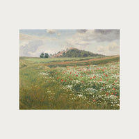 Poppy Fields