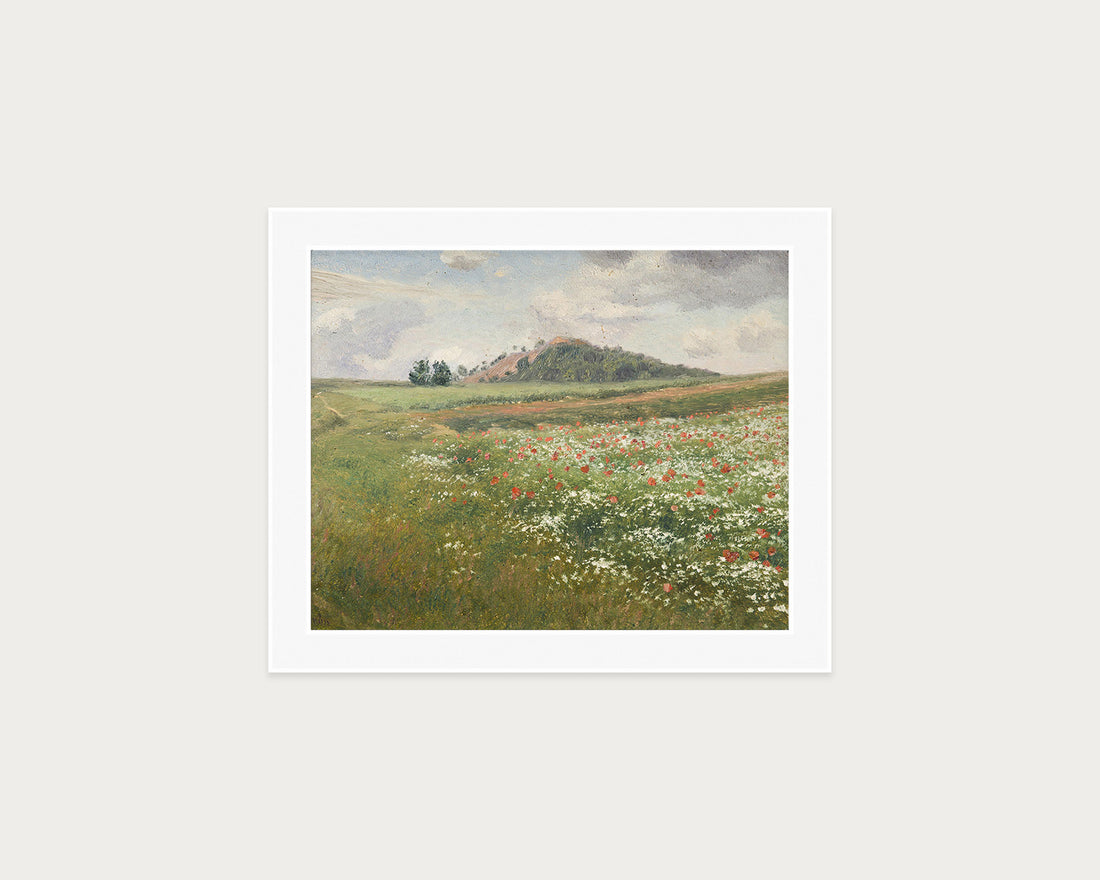 Poppy Fields