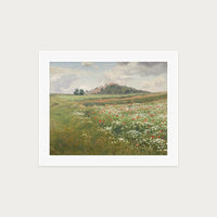Poppy Fields