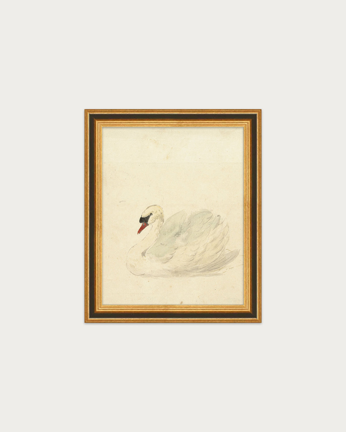 The Swan