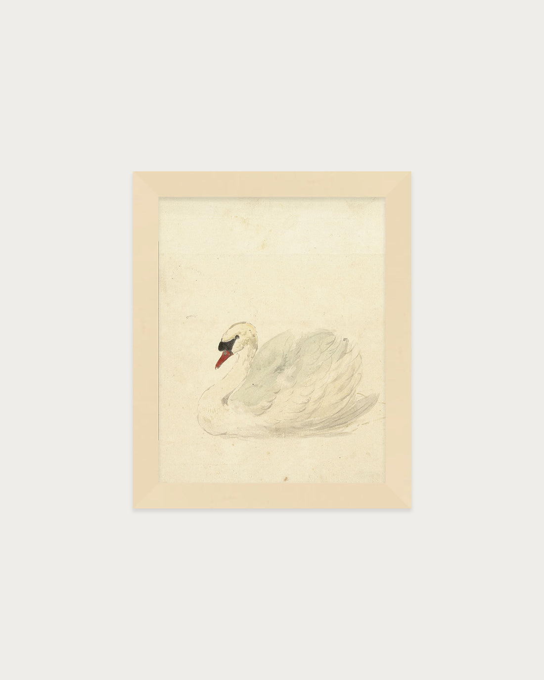 The Swan