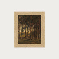 Dawn in the Woods
