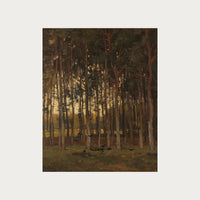 Dawn in the Woods