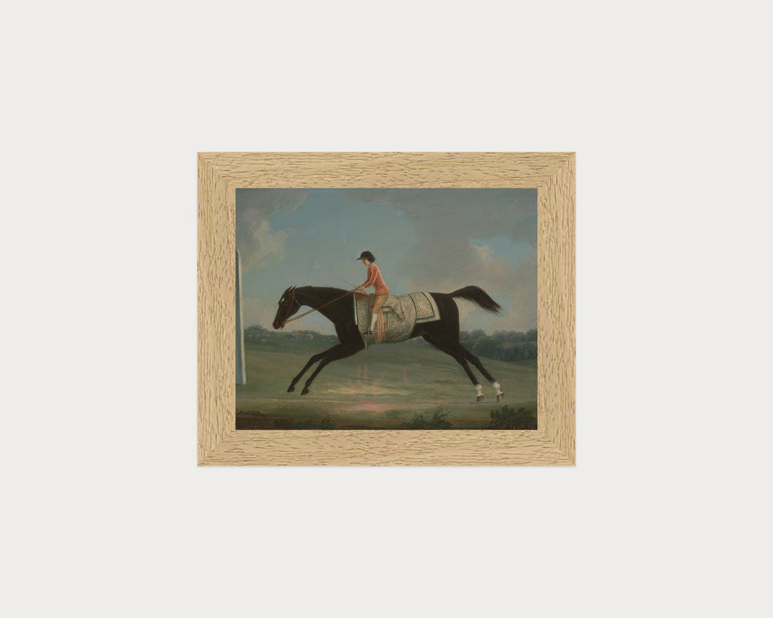 Derby Rider