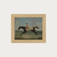 Derby Rider