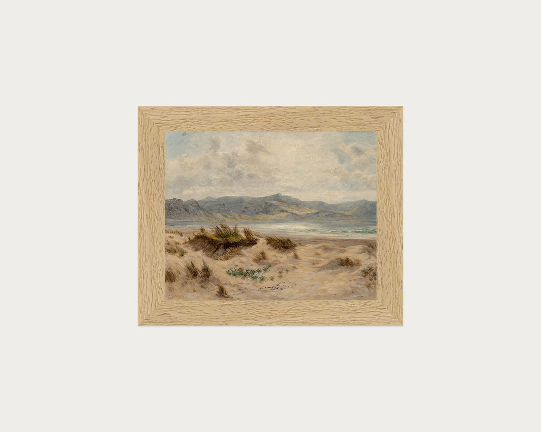 Dunes on the Welsh Coast