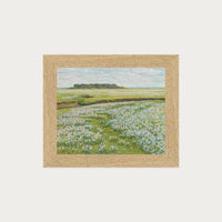 Fields in Bloom