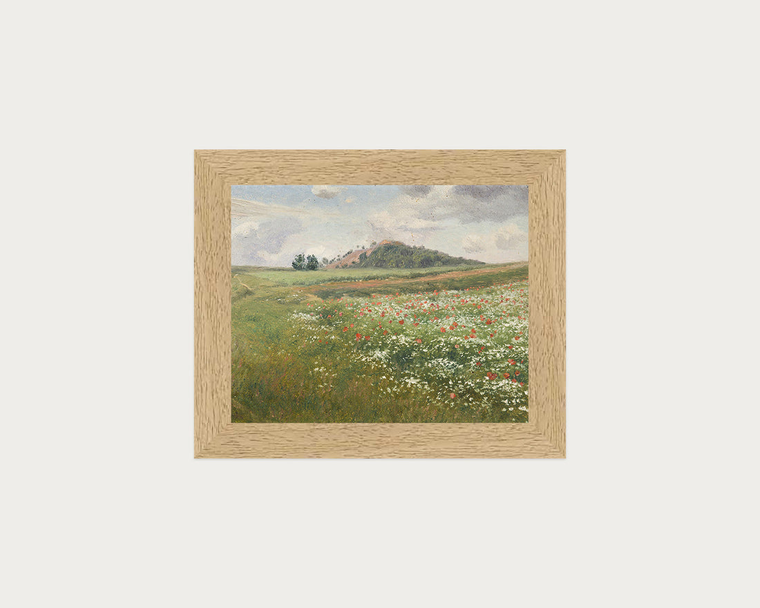 Poppy Fields