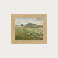 Poppy Fields